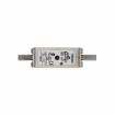 170M1569D Specialty Fuses