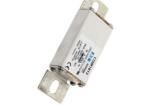 170M1813 Specialty Fuses