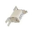 170M2667 Specialty Fuses