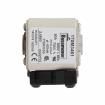 170M3461 Specialty Fuses