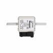 170M3666 Specialty Fuses