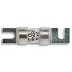 AAO6 Specialty Fuses