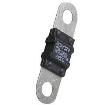 AMI-40 Automotive Fuses