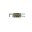 ANL-675 Specialty Fuses