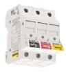 BB1P100M6  Circuit Protection