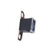 BK/FLD-100 Automotive Fuses