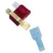 BP/ATC-TAP-RP Fuse Kits & Assortments