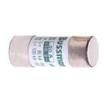 C22M10S Specialty Fuses