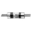 CDN10 Specialty Fuses