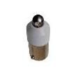 E22LED024ODF  Optoelectronics