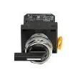 E22VBF1 Selector Switches