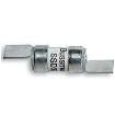 ESD32 Specialty Fuses