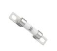 EVM10-50-SCT Automotive Fuses