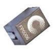 FP0906R1-R30-R Fixed Inductors