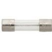 GMD-125MA Cartridge Fuses