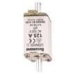 SB2  Circuit Protection