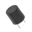 SR-5H-2A-BK Fuses with Leads - Through Hole