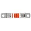 XEV10-30-B Specialty Fuses