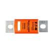 XEV25-100-SP Specialty Fuses