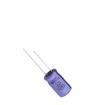 ECE2DM220G17OTPO Aluminium Electrolytic Capacitors - Radial Leaded