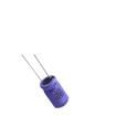 ECE2GM100G17OTPO Aluminium Electrolytic Capacitors - Radial Leaded