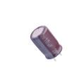 EGS2DM100F12C30T Aluminium Electrolytic Capacitors - Radial Leaded