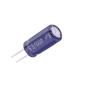 EGW2GM6R8F16CA0T  Passive Components