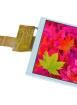 EA TFT043-42ANN TFT Displays & Accessories