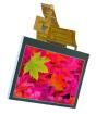 EA TFT043-42ATS  Optoelectronics
