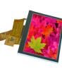 EA TFT043-42ATS TFT Displays & Accessories
