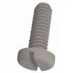 010832P050 Screws & Fasteners