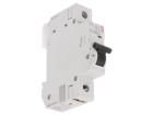 ETIMAT 10 1P C6  Circuit Protection