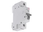 ETIMAT 6 1P D10  Circuit Protection