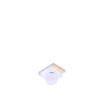 42-21A/R6C-AX1Y1B/1T  Optoelectronics