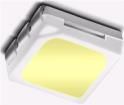 61-238LK2C-B56706F4GB2ET  Optoelectronics