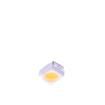 67-21/LK2C-B2832B2B5B2/2T(GC)  Optoelectronics