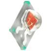 ELSH-F91Y3-0LPNM-BA3A5 High Power LEDs - Single Colour