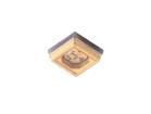 F.35.00024  Optoelectronics
