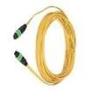 F9L12D5-5M2 Wire Ducting & Raceways