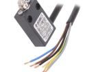 FA 4501-2DN Limit Switches