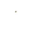 0603B301K500NT  Passive Components