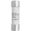 B212061 Cartridge Fuses