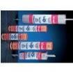 TRS20R Cartridge Fuses