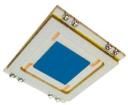 DL100-7-SMD  Optoelectronics