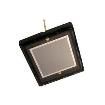PS100-6-CER2PIN Photodiodes