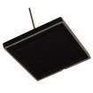PS100B-7-CERPINE Photodiodes