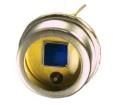 WS7.56-TO5 Photodiodes