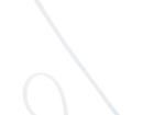 FIX-S-2.5X100/N Cable Ties