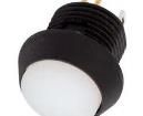 FL13LW5 Pushbutton Switches