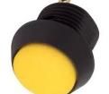 FL13NY Pushbutton Switches